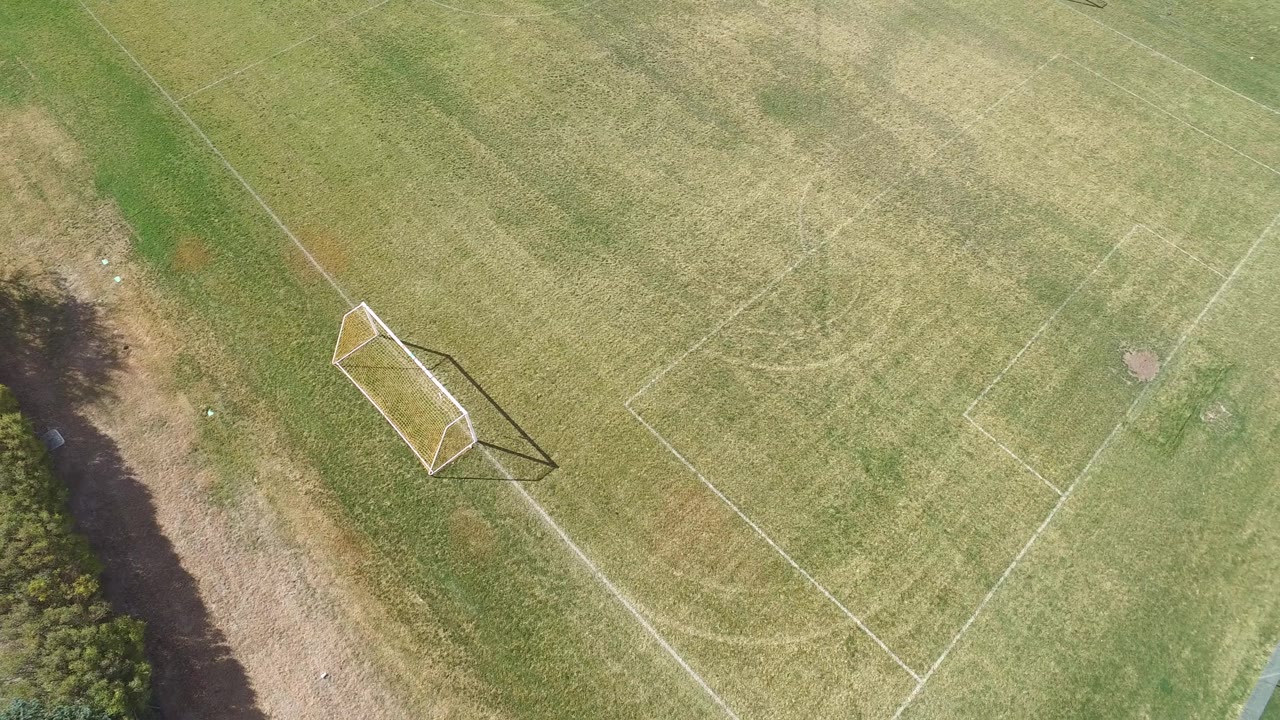 Aerial frame over the Hidden Lake, Colorado field with the soccer goal closer to center-left, pale white penalty lines, a narrow tree border, and no visible people.