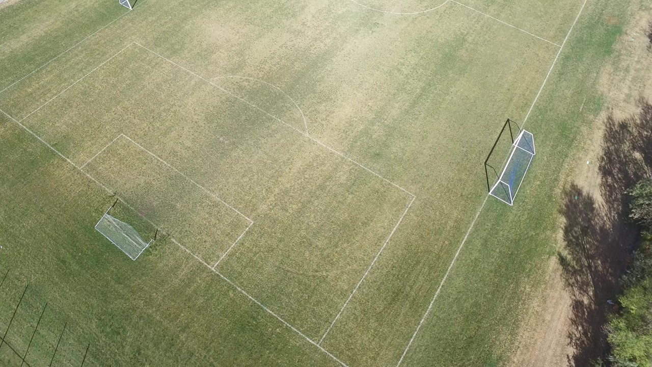 Overhead soccer field with two goals and painted lines on grass.