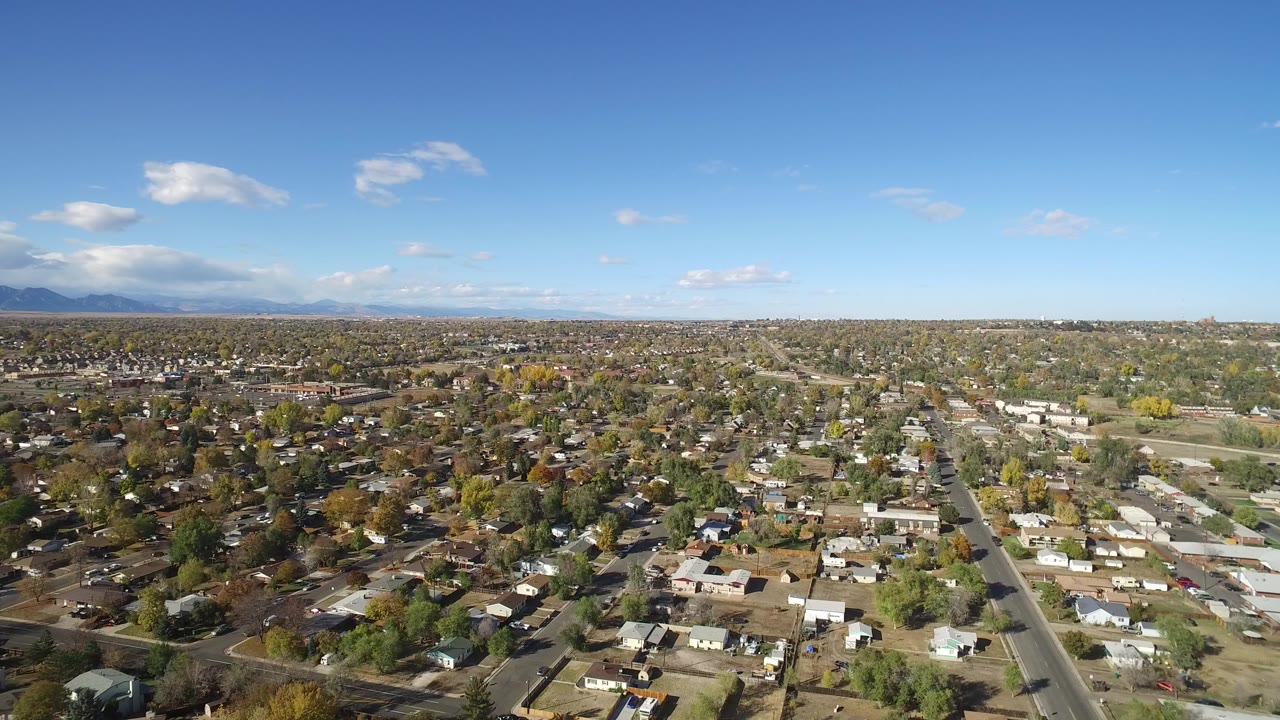 Aerial view over houses, tree-lined streets, distant mountains, and blue sky.
