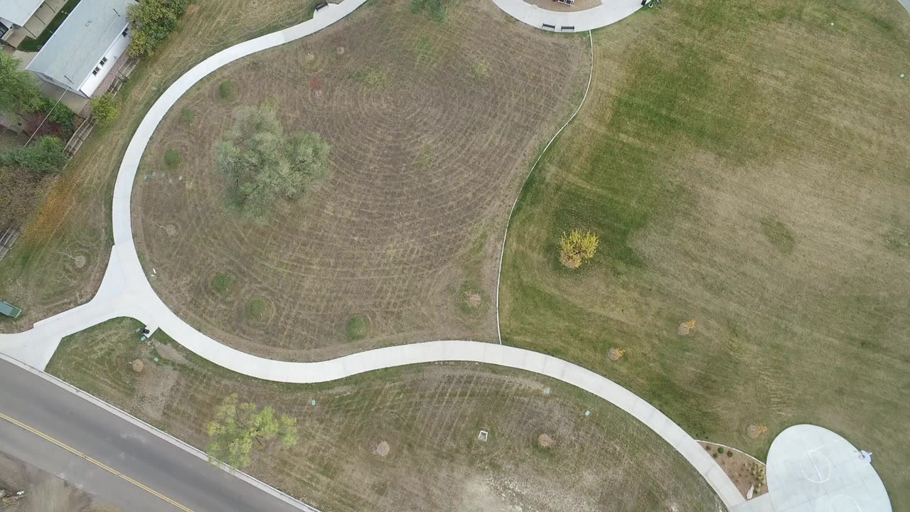 Overhead view of curving pale path through grass beside a road edge.