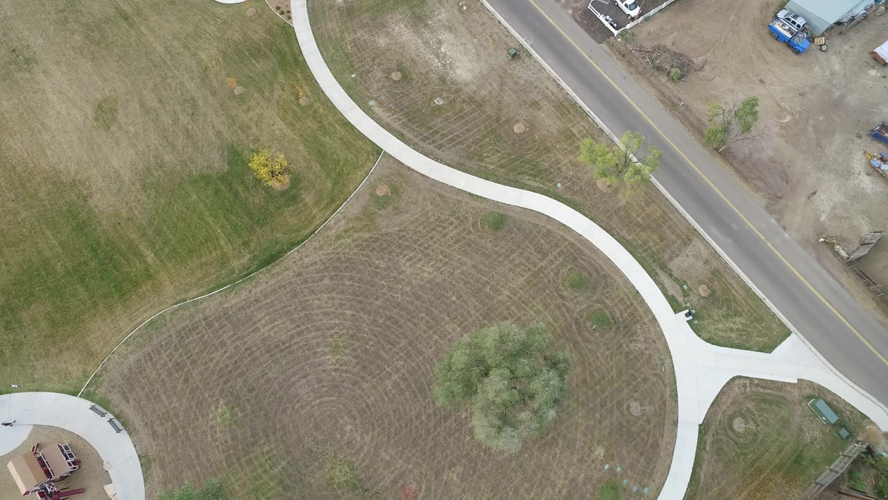 Drone-style overhead frame in Hidden Lake, Colorado with a central leafy tree, mowed grass patterns, a bright curved sidewalk, a road edge, and no visible people.