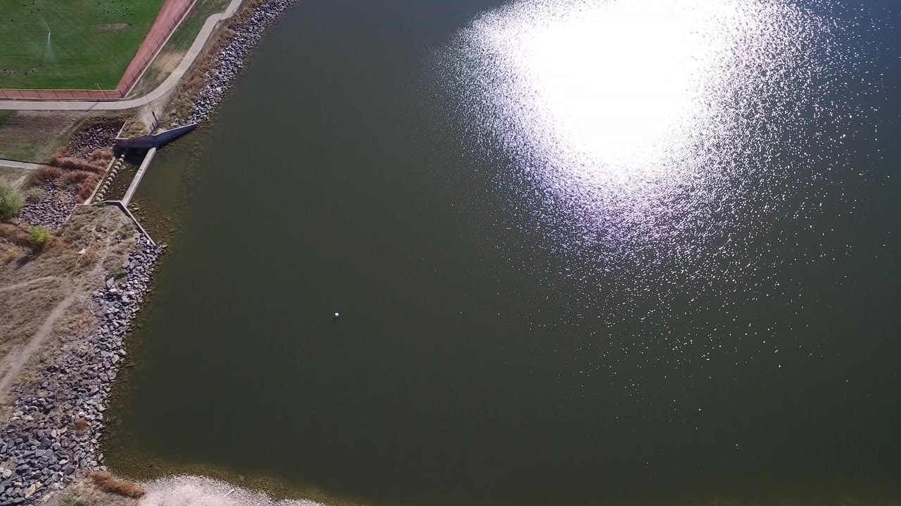 Pond shoreline with small structure and sunlit ripples.