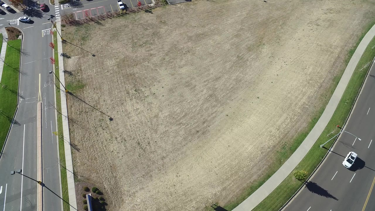 Top-down view of a pale field with road edges and a white car.