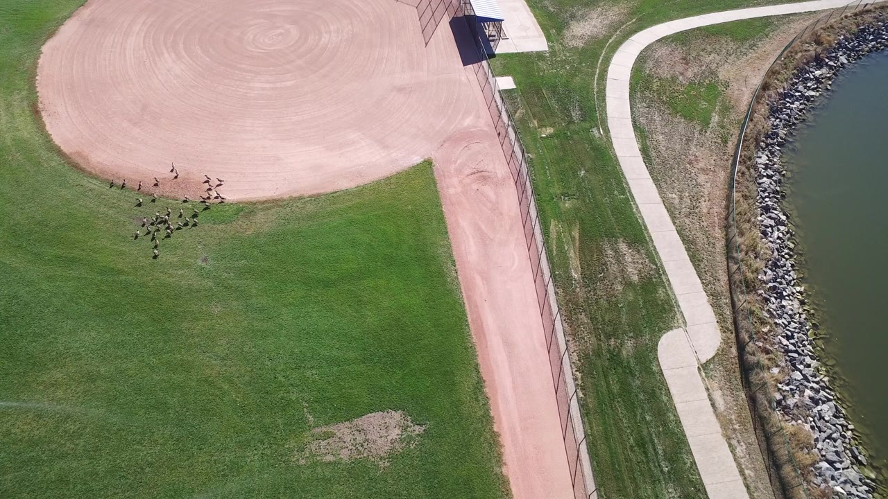 Overhead baseball field beside grass and a curving path