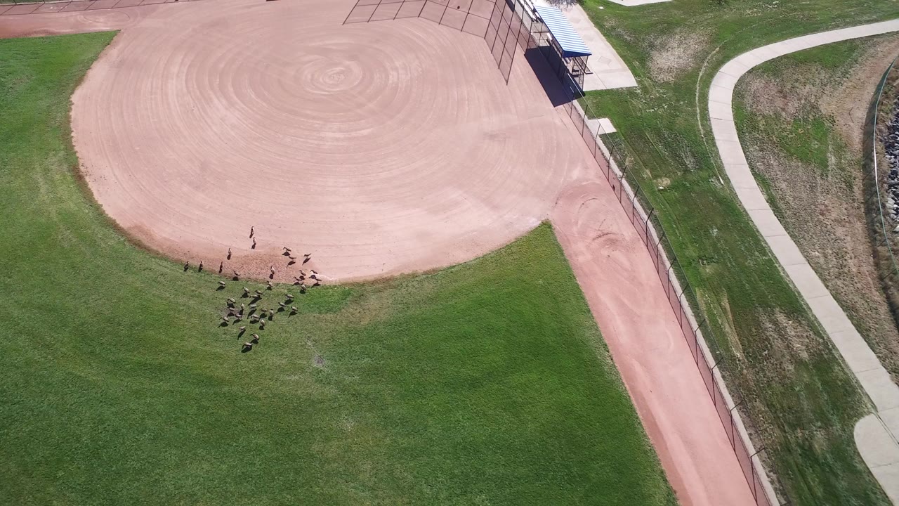 Overhead view of a baseball field with small people near the grass edge.