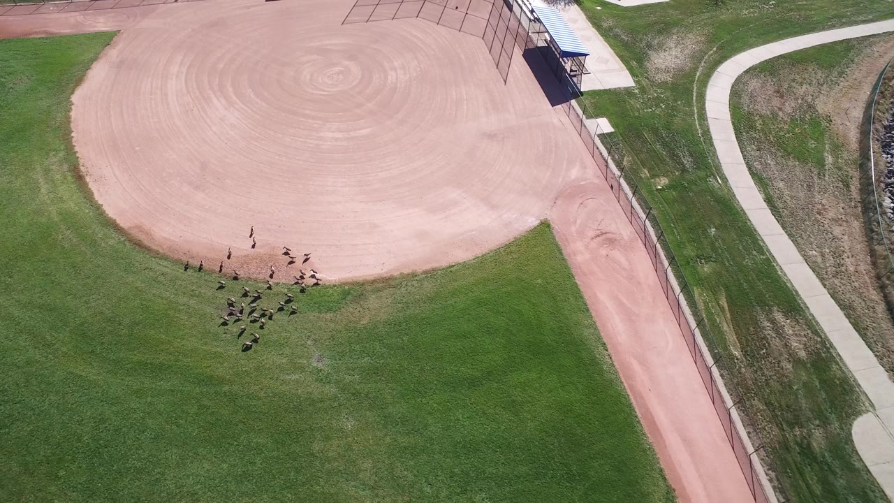 Drone-style overhead frame in Hidden Lake, Colorado with the circular rake marks of the infield visible and a loose group of people standing or moving along the grass below it.