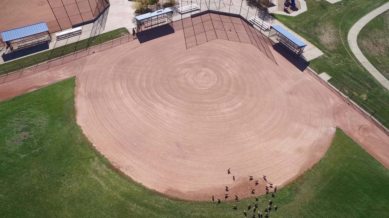 Aerial view of a baseball infield, grass, fencing, dugouts, and small people on the field edge.