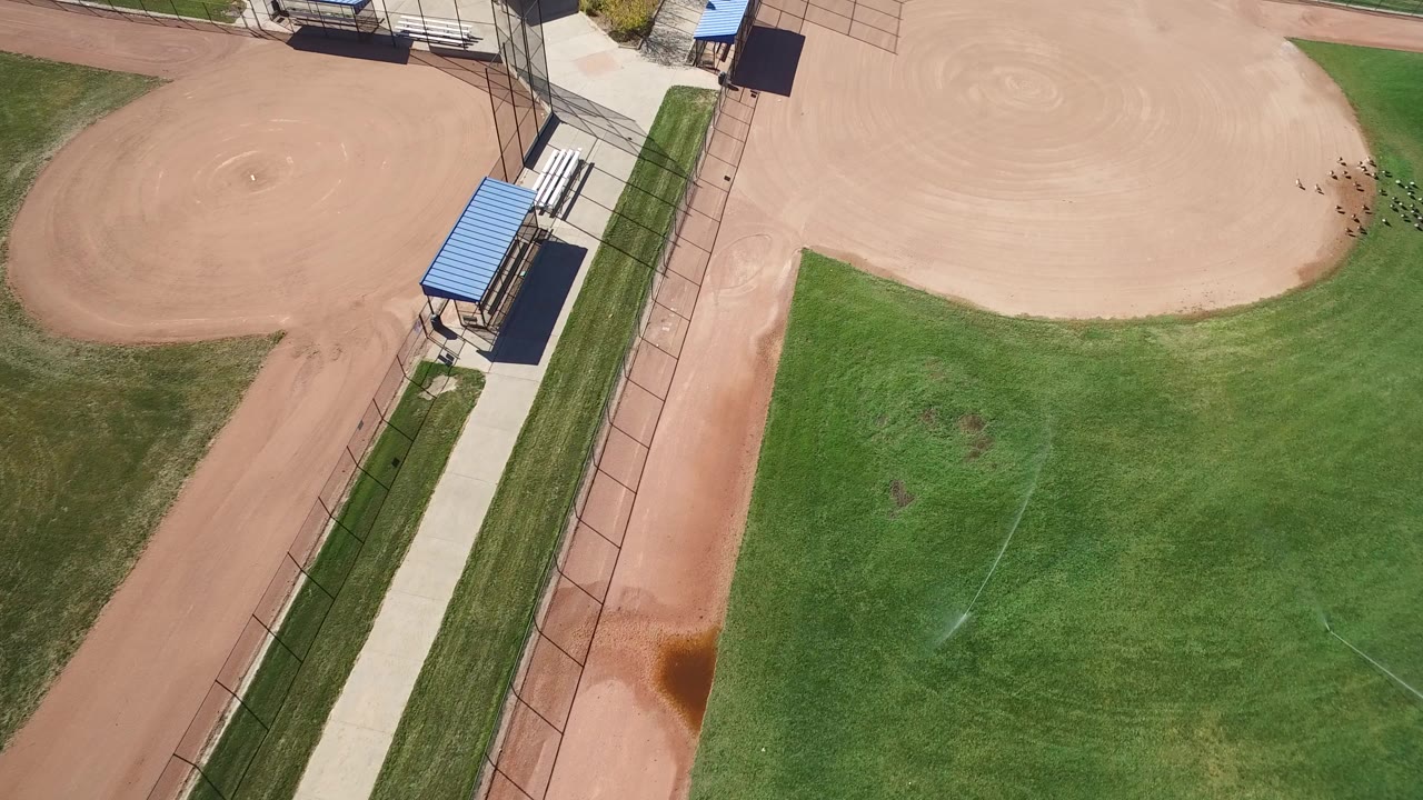 Overhead view of baseball diamonds, grass, paths, fencing, and blue dugout roofs.