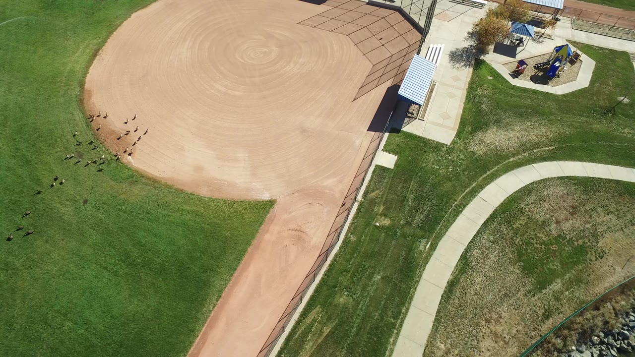 Overhead frame from Hidden Lake Colorado showing green grass, a tan baseball infield, a curved concrete path, rocks, and a small playground area with no visible people.