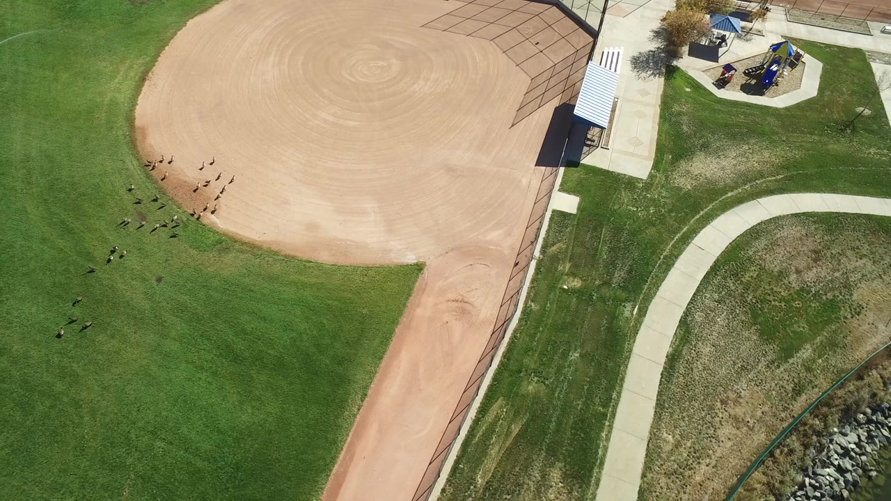 Drone-style overhead of a baseball infield edge, green field, and winding path.