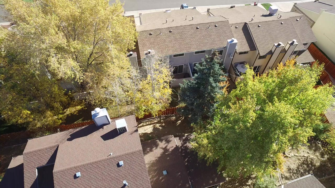 Overhead view of suburban rooftops, trees, fences, and backyards.