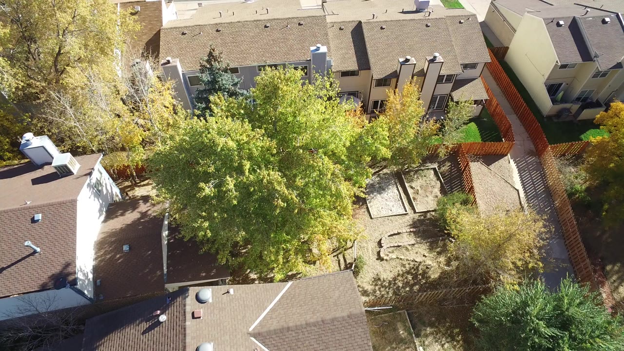 Overhead view of homes, trees, yards, and a residential street.