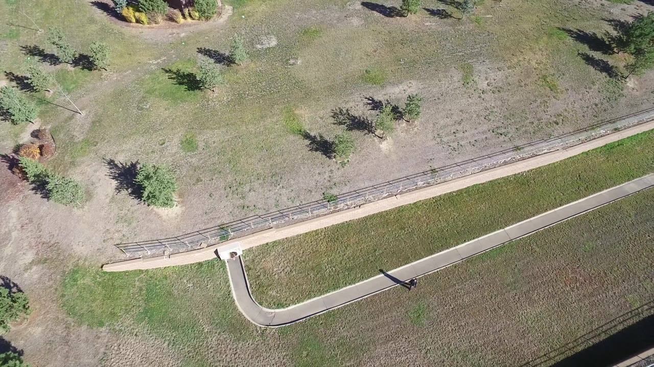 Top-down pasture view with a path, fence, and tree shadows.