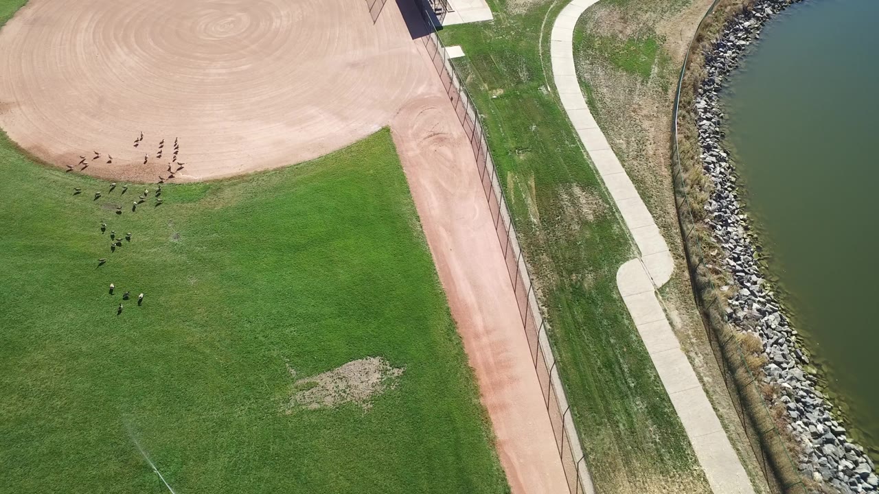 Drone view of a ballfield edge with shoreline rocks and adjacent water.