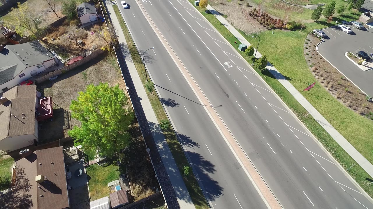 Top-down view of a road, homes, and trees