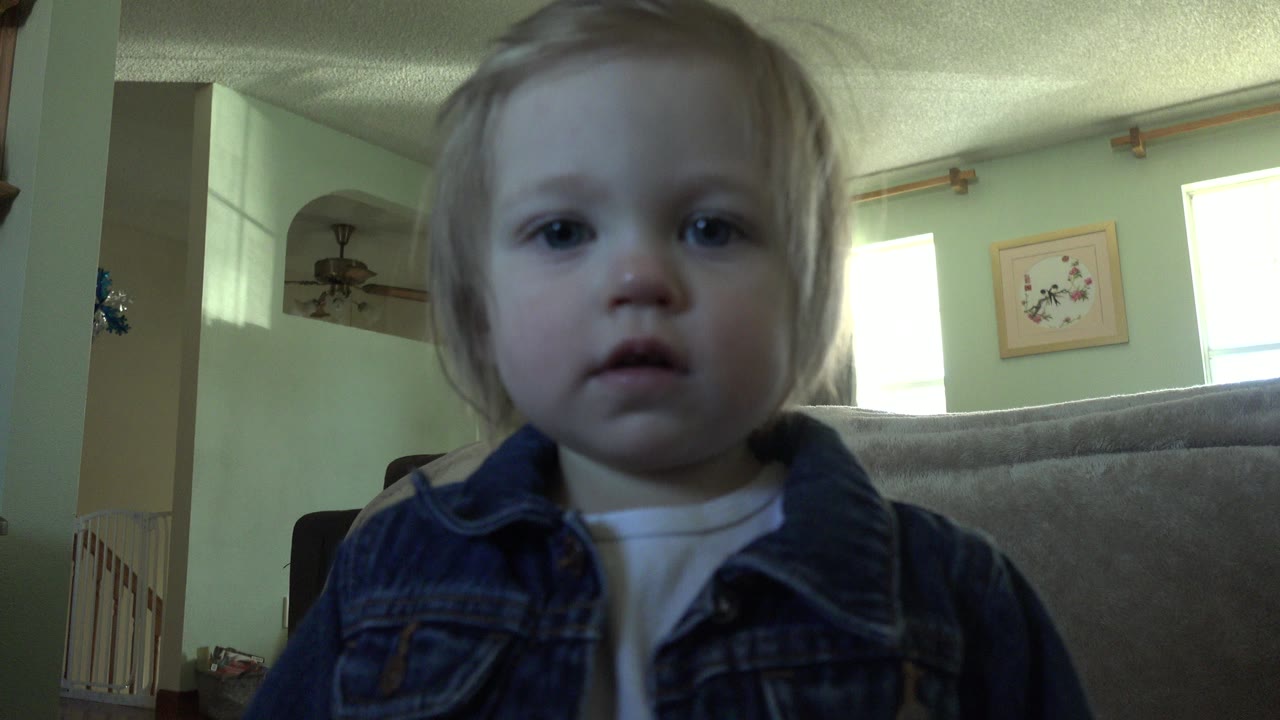 A young child in Westminster, Colorado faces a low camera from close range, with a couch, bright windows, green walls, a ceiling fan, and framed wall art behind them.