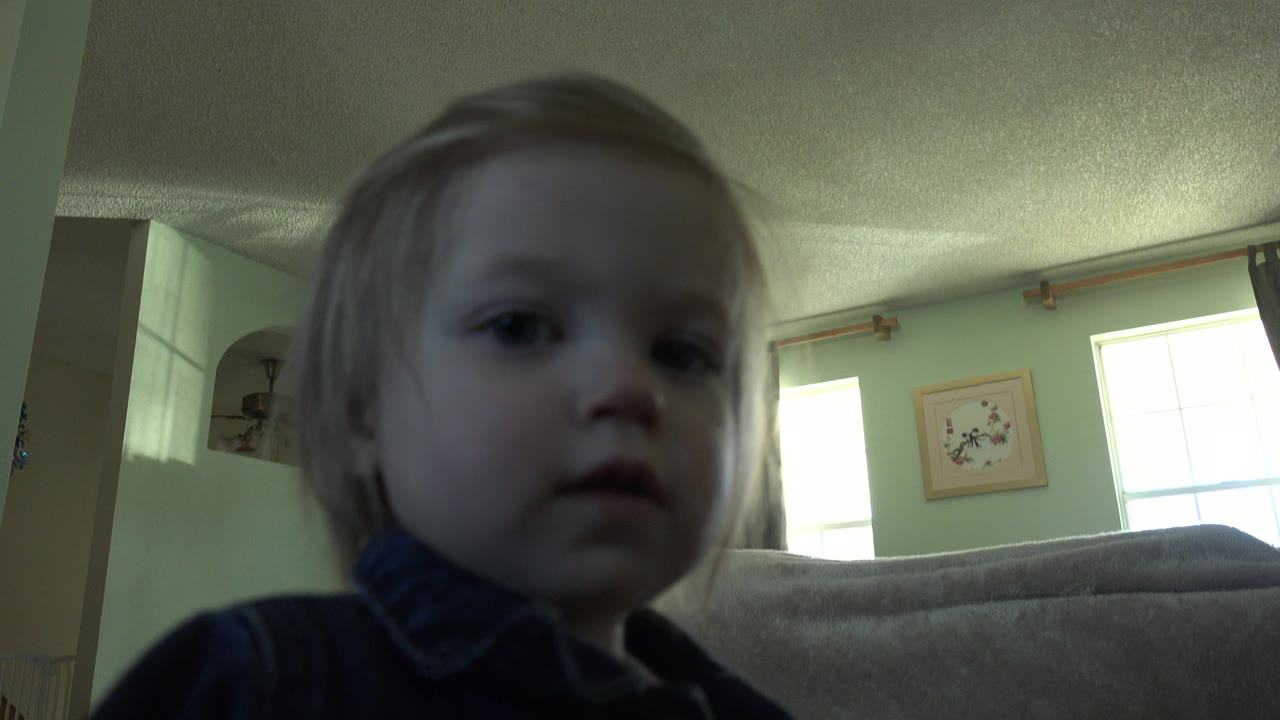 A blonde toddler in a dark blue jacket stands close to a low camera in a Westminster, Colorado living room with bright windows behind them.