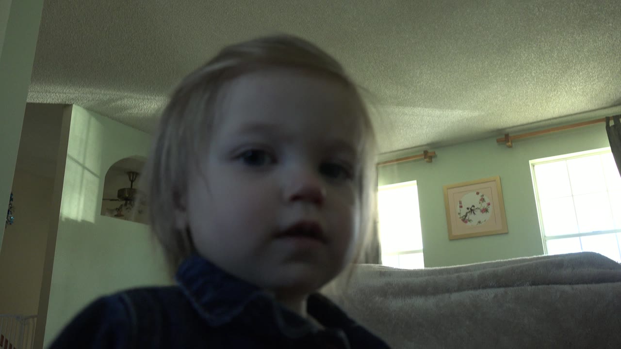 The toddler remains centered near the low camera in the Westminster, Colorado interior, with the couch back and two bright windows in the background.