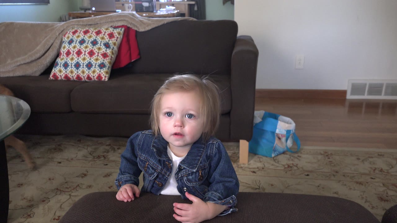 Toddler in a denim jacket standing behind a dark living room table.