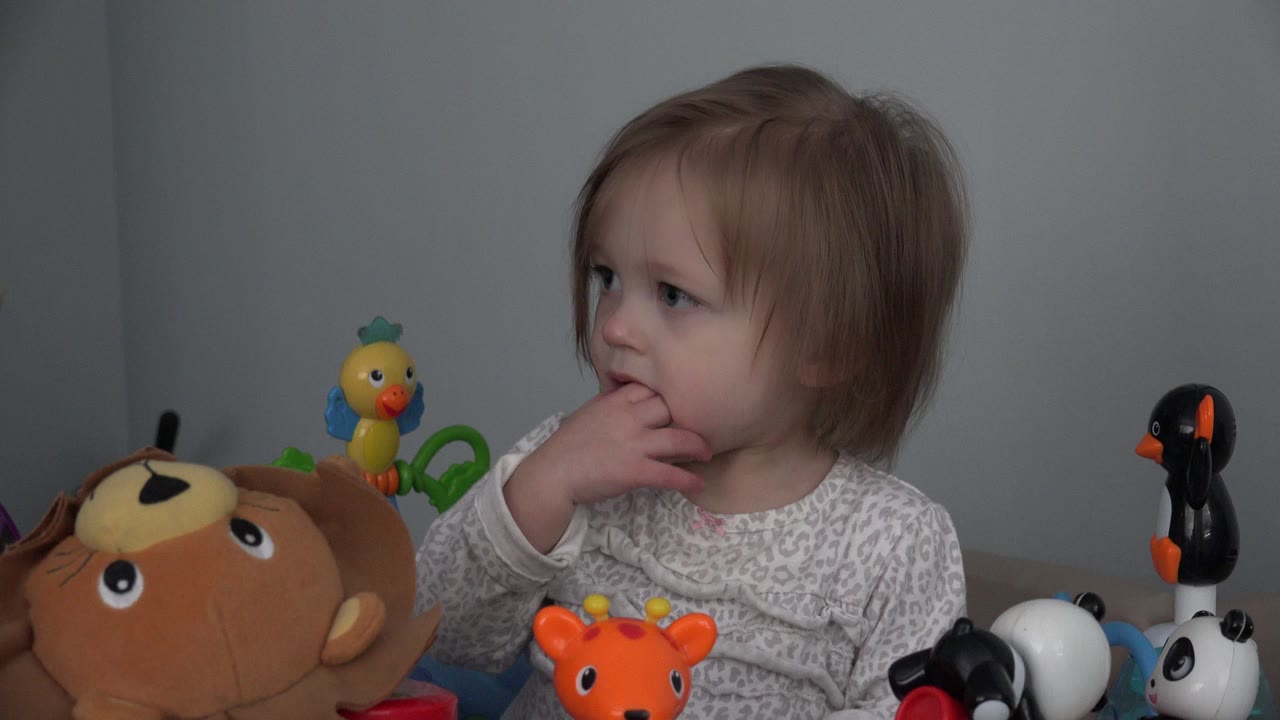 A young girl in Westminster, Colorado sits behind a plush monkey and toy animals, looking off to the side with her hand near her mouth.