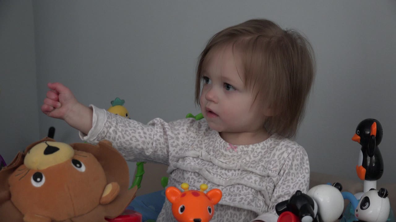 A young child in Westminster, Colorado keeps one arm extended while looking left, with a plush monkey in front and small animal toys arranged along the lower frame.