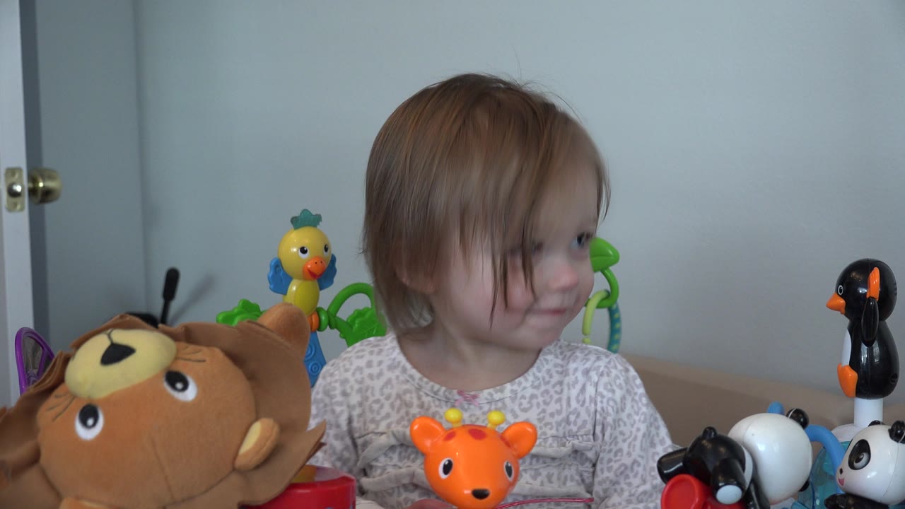 A young girl in Westminster, Colorado sits behind a tabletop of animal toys, with a plush lion at left and pale blue closet doors behind her.