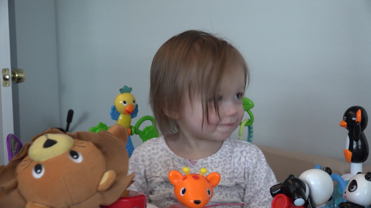 The child in Westminster, Colorado looks off to the right while animal toys fill the foreground and pale closet doors remain in the background.