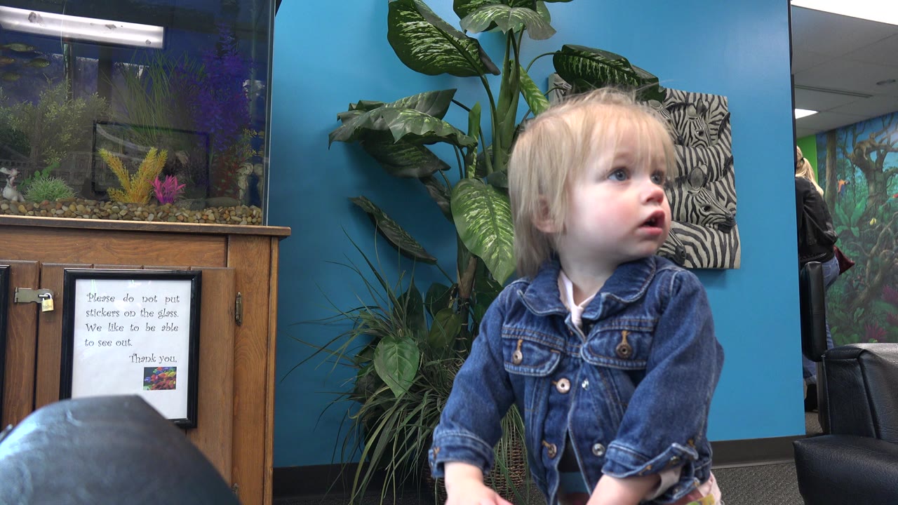 In Denver, Colorado, the child remains near the foreground, looking up and left while large green leaves, a fish tank, a blue wall, and black seating fill the background.