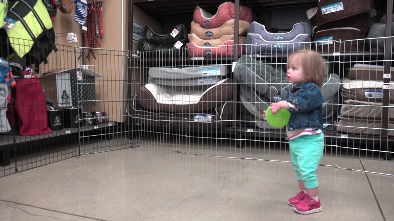 The child faces left in the Denver store aisle, holding the bright green ball while wire fencing and pet beds fill the background.