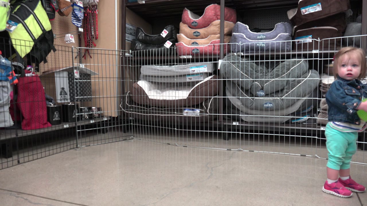 A toddler in a denim jacket and mint pants holds a green ball near the right side of a Denver store aisle, with metal display fencing and stacked pet beds behind her.