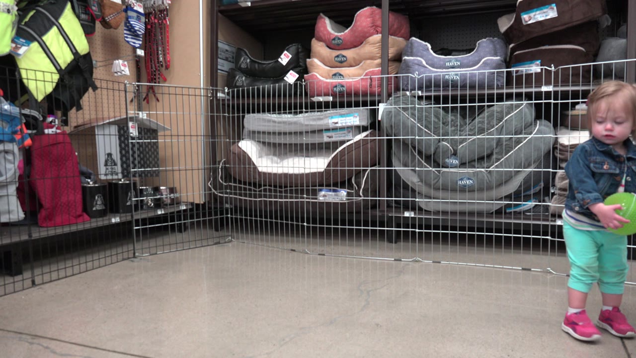Toddler girl standing with a green ball near shelves and wire fencing.