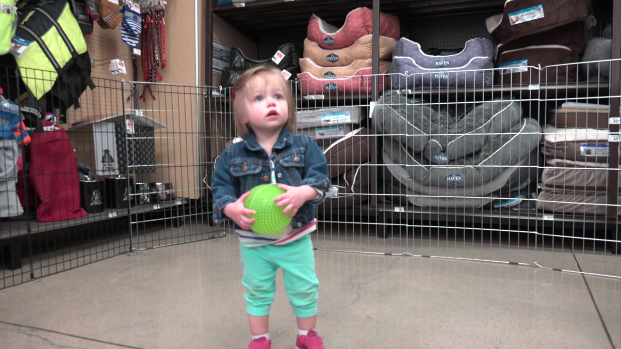 Young child holding a green ball in a pet shop aisle.