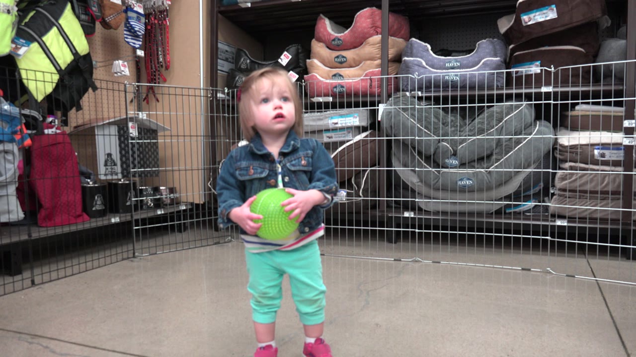 A child in Denver, Colorado holds a bright green ball with both hands while standing in front of stacked pet beds and metal store fencing.