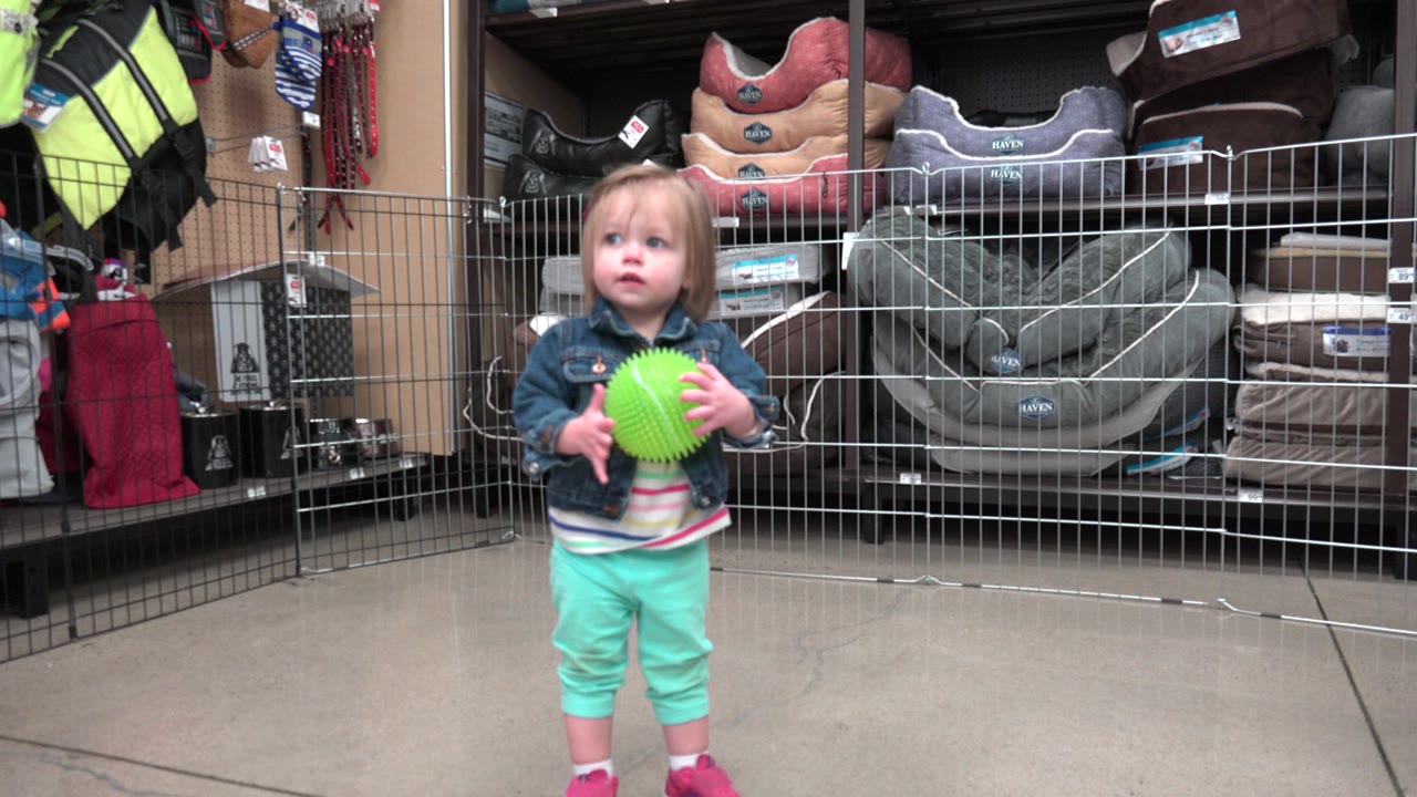 A toddler in Denver, Colorado stands near the center of a store aisle holding a bright green ball, with pet beds and wire display fencing behind them.
