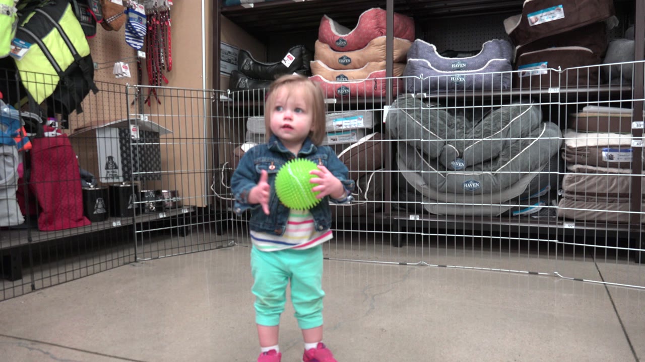 The child looks slightly off to the side while holding the green ball in the Denver store, with stacked pet beds and retail fixtures filling the background.