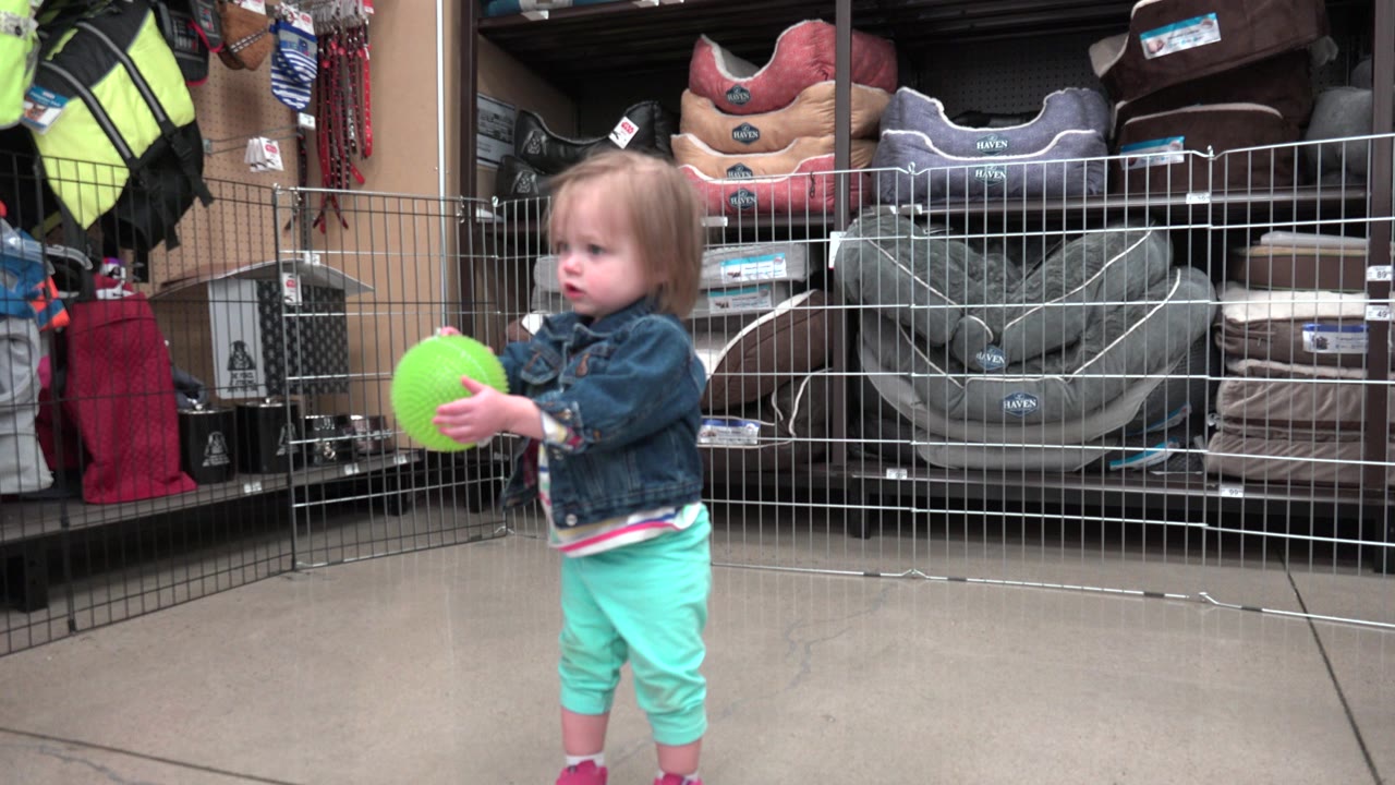 A toddler in Denver, Colorado holds a bright green ball or balloon beside a wire fence, with pet beds and store merchandise visible behind her.