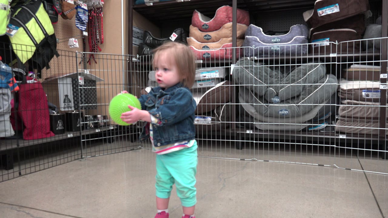 The Denver store scene shows the toddler still holding the green ball or balloon, with stacked pet beds and a wire fence filling the background.