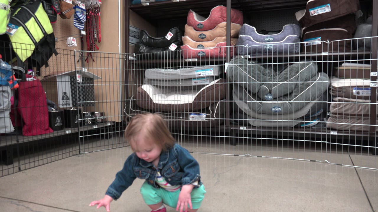 Toddler crouching on a store floor beside a wire play fence.