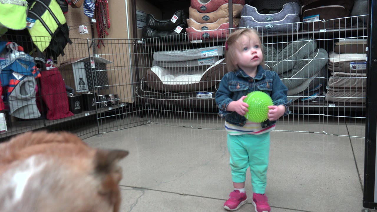 Young girl with a green ball looks upward as a dog is partly visible at the bottom left.