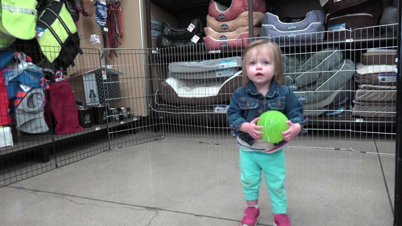 At 0:00, a toddler in Denver, Colorado faces the camera holding a bright green ball near a metal play fence with shelves behind her.