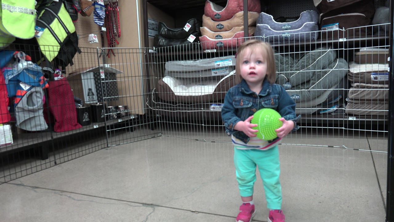 At 0:01, the toddler remains facing forward in the Denver indoor play area, gripping the green ball at chest height against the fenced backdrop.