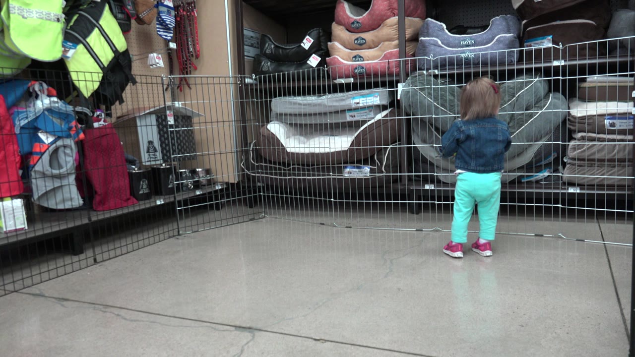 The toddler remains near the wire barrier in a Denver store aisle, centered between hanging bags and stacked chairs under indoor retail lighting.