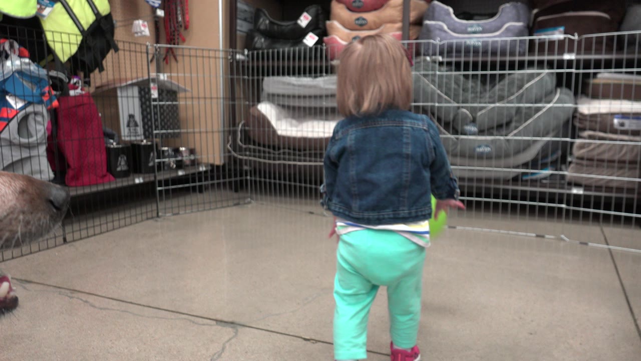 Toddler seen from behind inside a store near a green ball.