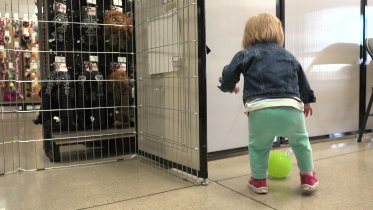 Toddler stands near a green ball by metal dog pens.