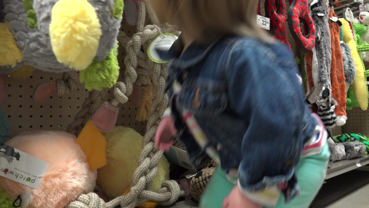 A blonde toddler in a denim jacket stands close to a Denver pet toy display, with plush rope toys and a fuzzy gray toy filling the foreground.