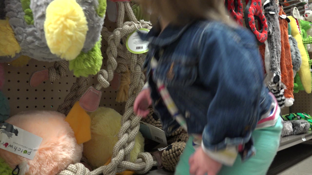 The toddler is seen from behind in the Denver store aisle, facing a dense display of plush and rope dog toys with bright yellow and green pieces near the camera.