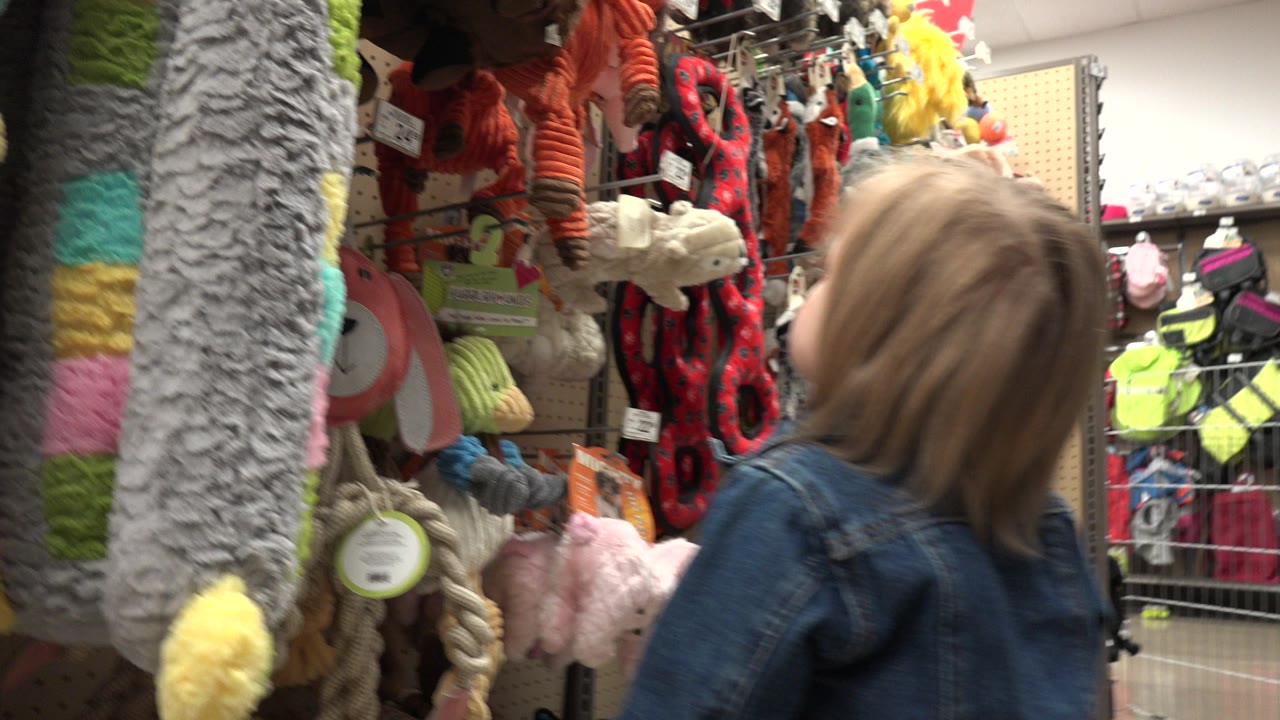 Blond child beside hanging plush toys in a store aisle