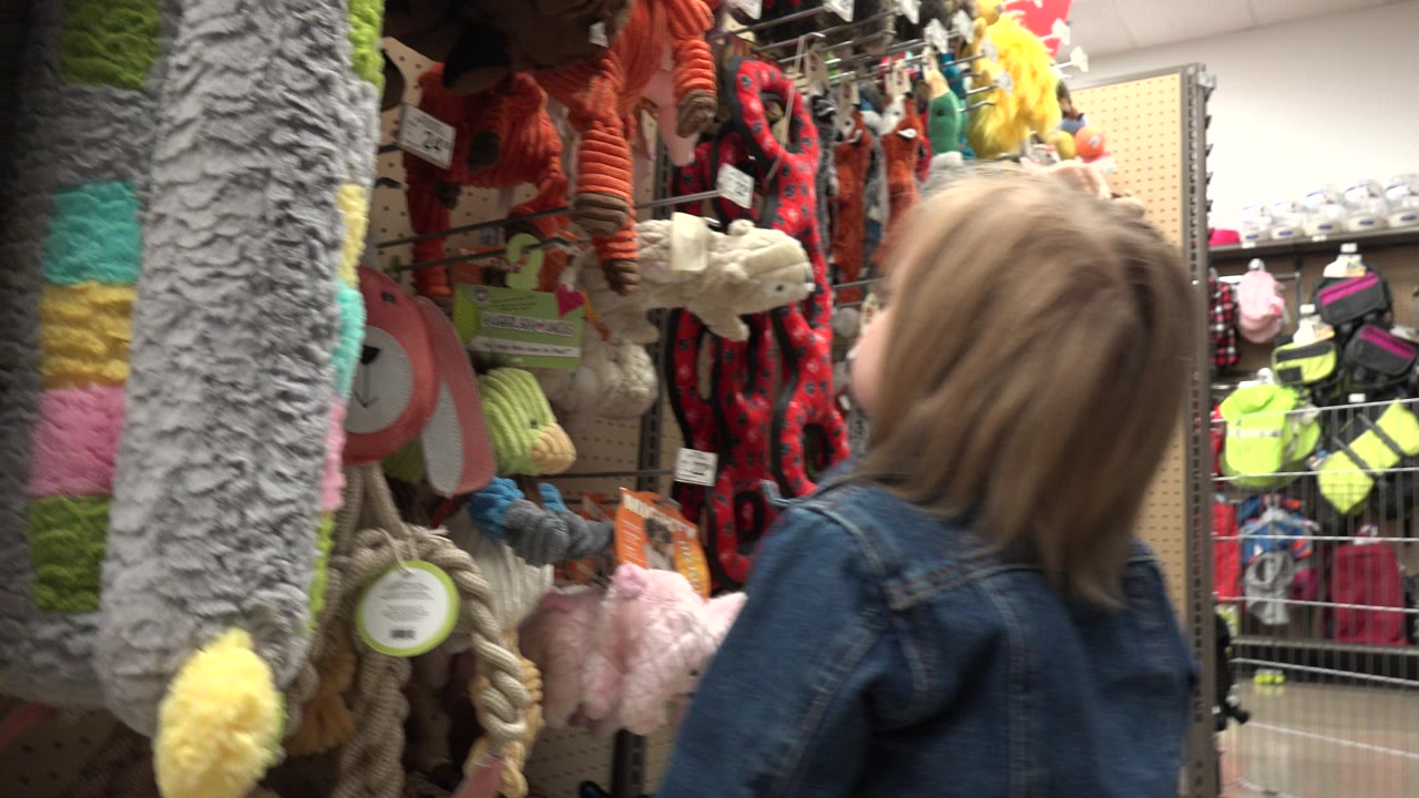 The child turns toward the right side of a Denver, Colorado store aisle, with plush animals and bright packaged items hanging from pegboard shelves.