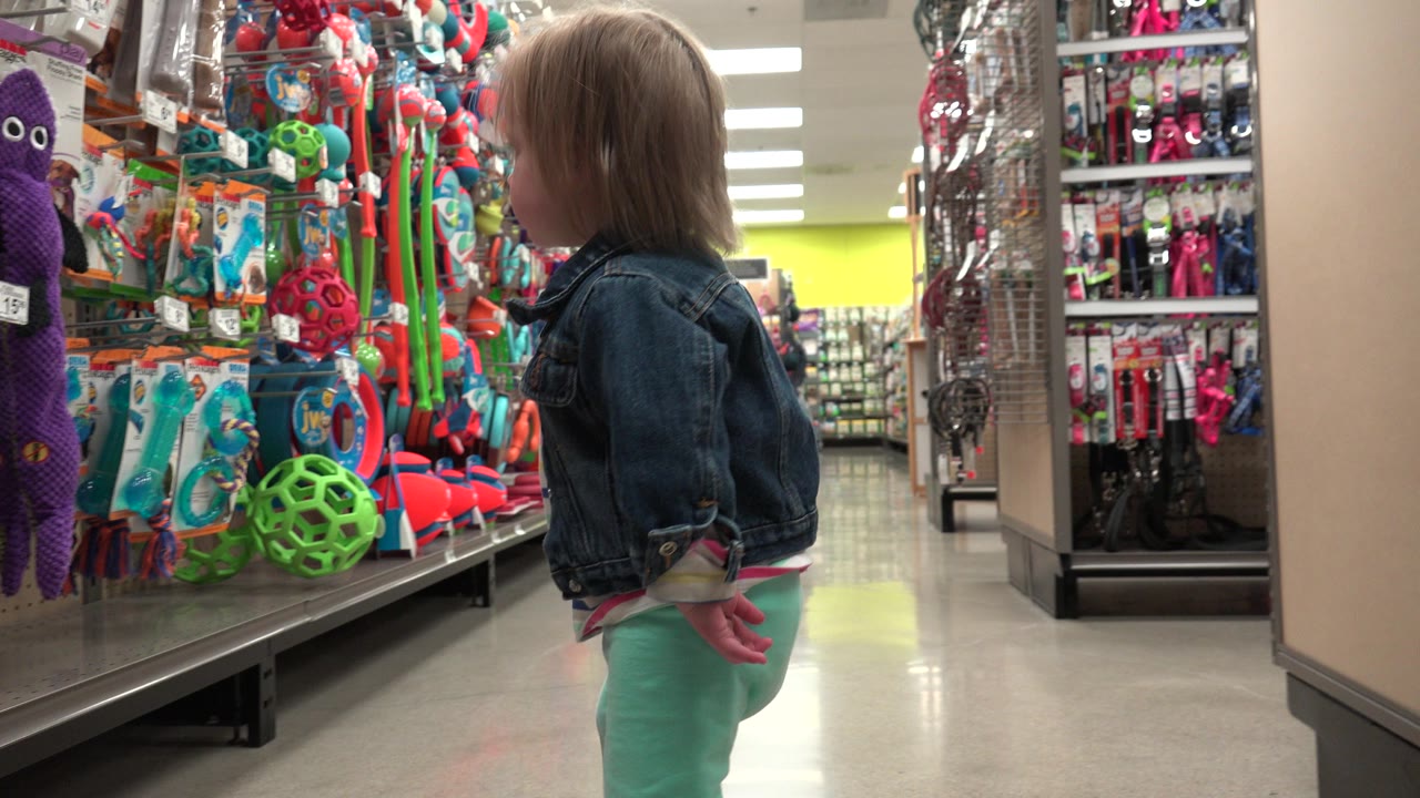 Toddler girl stands beside a colorful pet toy aisle.
