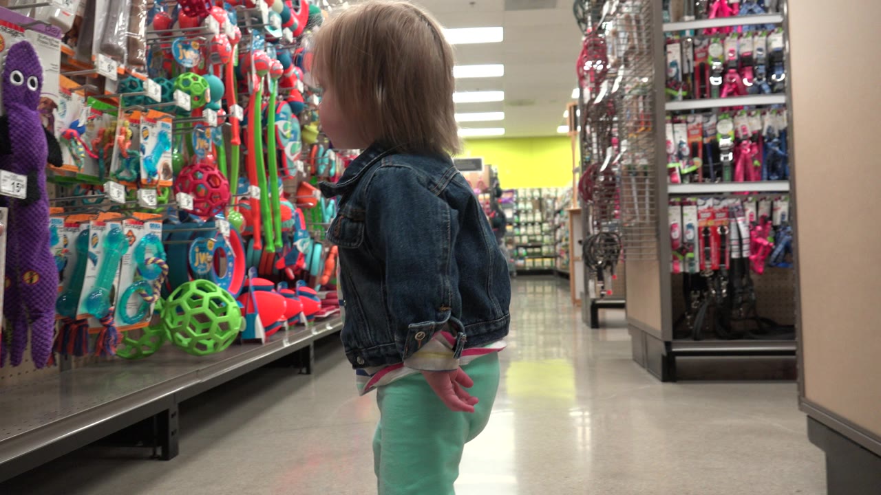 The toddler remains near the pet toy shelves in the Denver retail aisle, with hanging toys and packaged products filling the foreground and background.